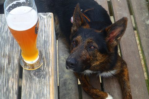 Beer envy