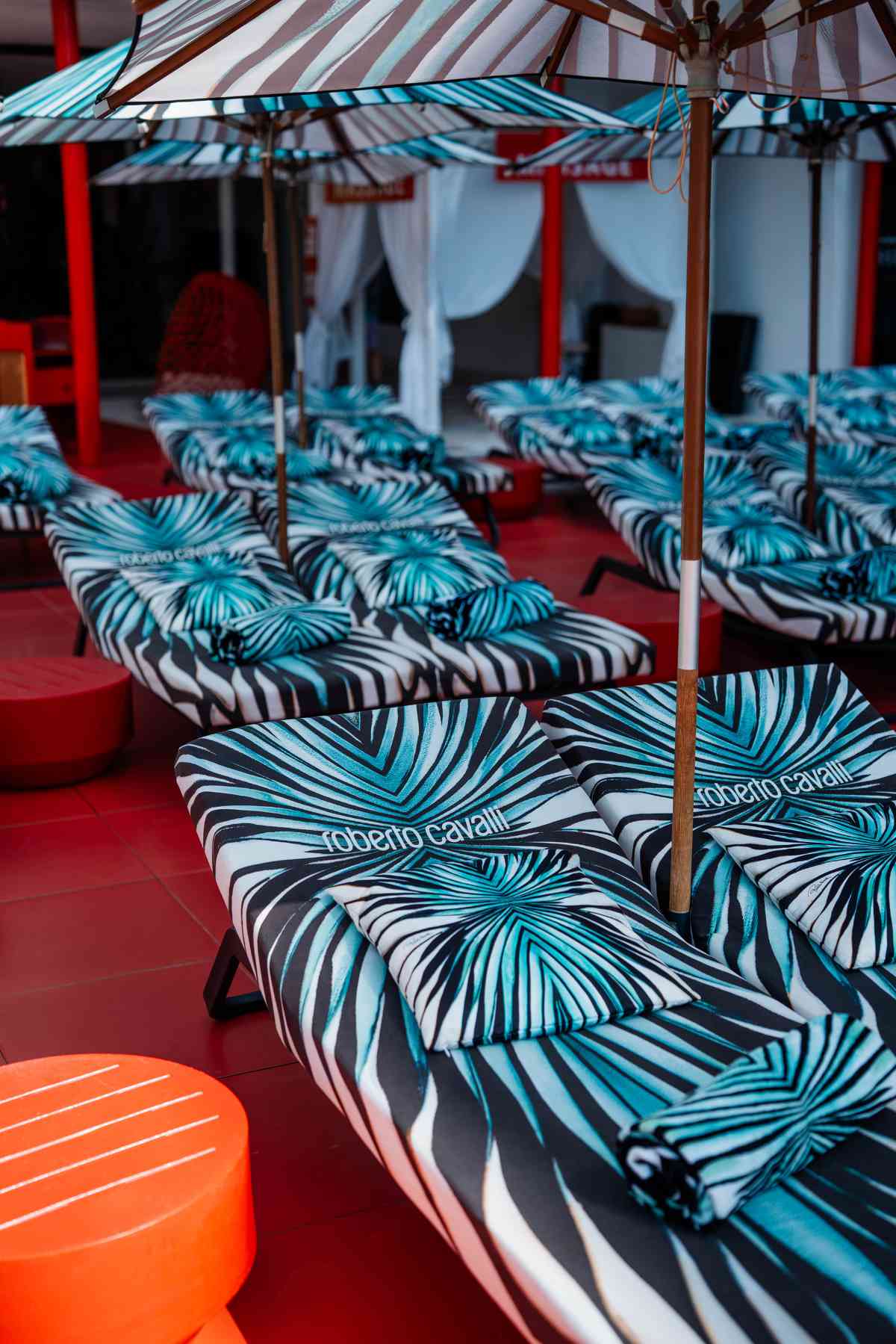 Roberto Cavalli Unexpected Ibiza